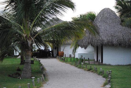 Cardon Adventure Resort Mazatlan Luaran gambar